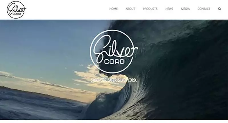surfing website design